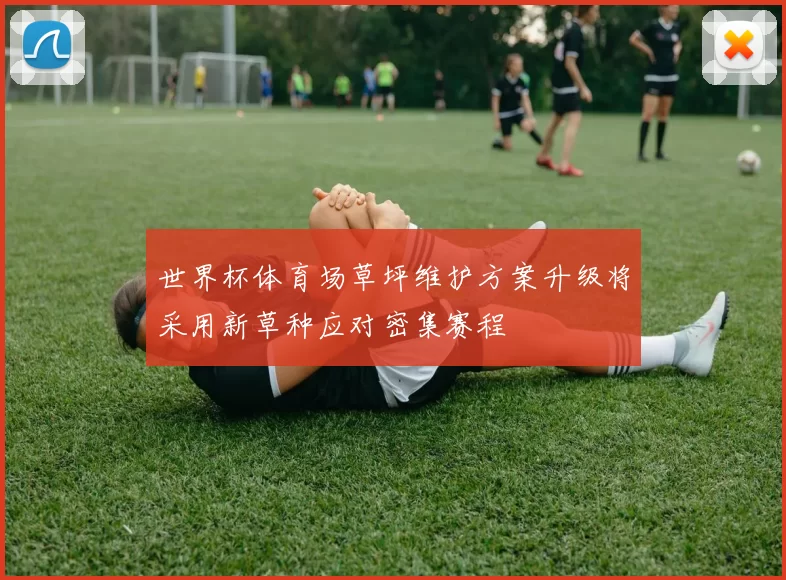 世界杯体育场草坪维护方案升级将采用新草种应对密集赛程