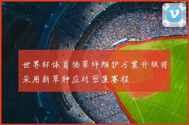 世界杯体育场草坪维护方案升级将采用新草种应对密集赛程