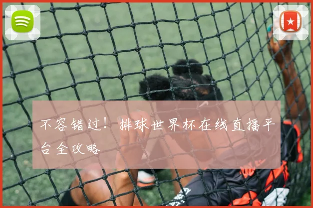 不容错过！排球世界杯在线直播平台全攻略